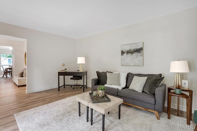 1254 Jade Wind Cir, Ballwin, MO 63011 - living area featuring wood finished floors and baseboards
