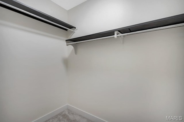 1254 Jade Wind Cir, Ballwin, MO 63011 - walk in closet featuring light colored carpet
