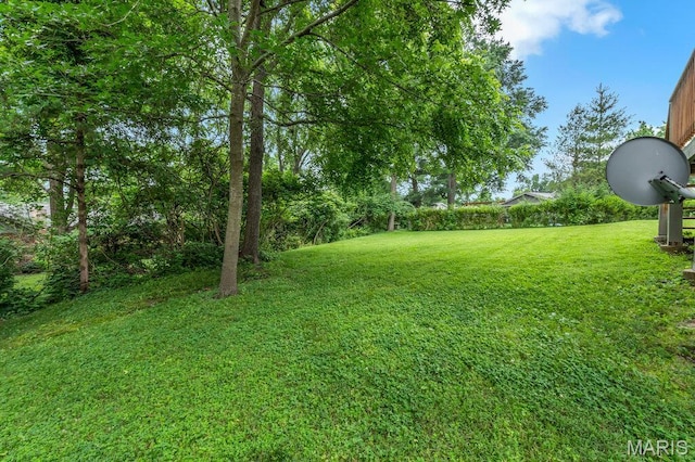 1254 Jade Wind Cir, Ballwin, MO 63011 - view of grassy yard