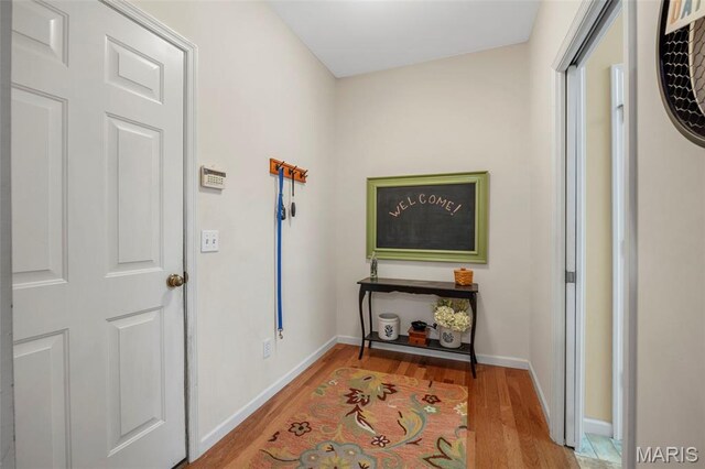 24 Milton Brennan Manor Ct, Wentzville, MO 63385 - entrance foyer with light wood finished floors