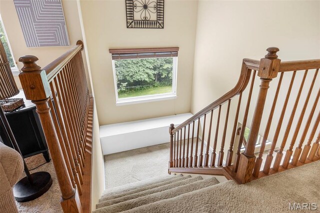 24 Milton Brennan Manor Ct, Wentzville, MO 63385 - stairway with carpet floors