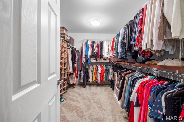 24 Milton Brennan Manor Ct, Wentzville, MO 63385 - spacious closet with carpet flooring