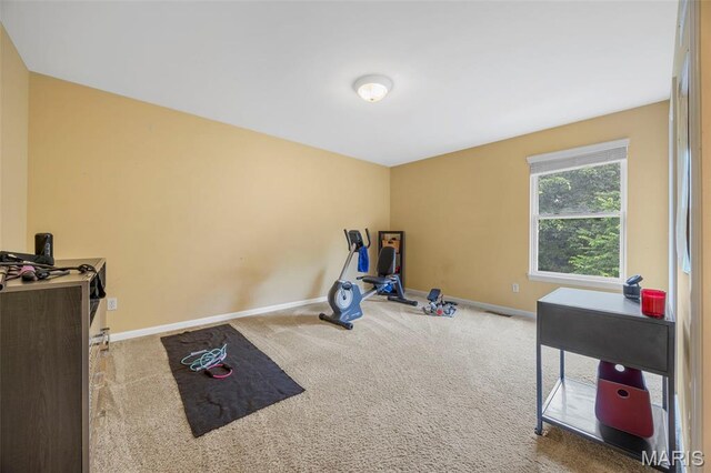 24 Milton Brennan Manor Ct, Wentzville, MO 63385 - exercise room featuring carpet flooring