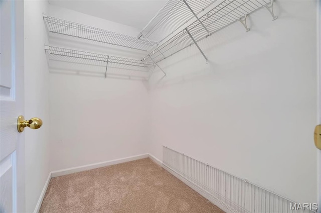 536 White Fence Dr, Wentzville, MO 63385 - spacious closet with carpet floors