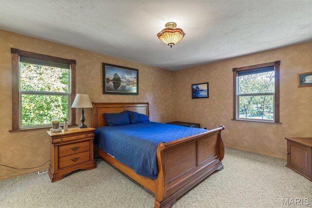 521 Lindsey Ln, Farmington, MO 63640 - photo 20