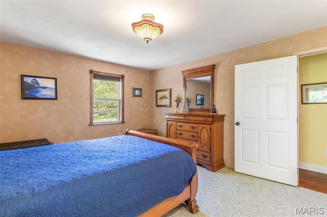 521 Lindsey Ln, Farmington, MO 63640 - photo 21
