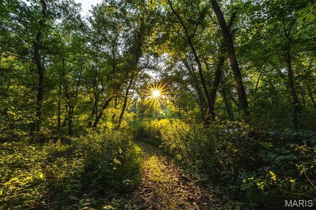 0 Kohl Rd, Leasburg, MO 65535 - photo 32