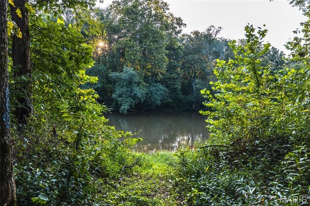 0 Kohl Rd, Leasburg, MO 65535 - photo 33