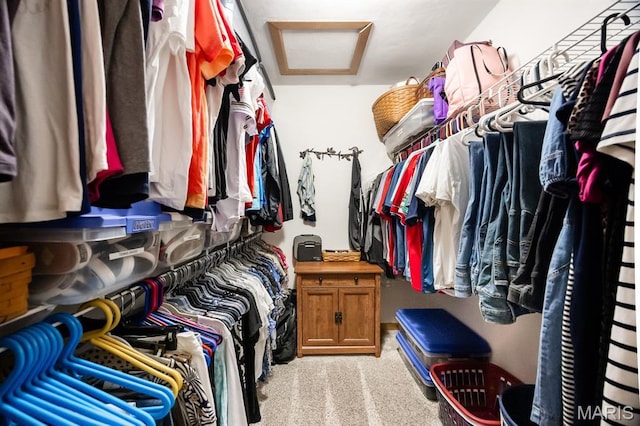 595 Chancellor Dr, Edwardsville, IL 62025 - walk in closet with attic access and carpet