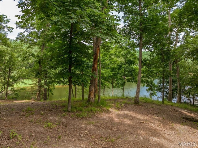 463 Foxfire Crossing Dr, Innsbrook, MO 63390