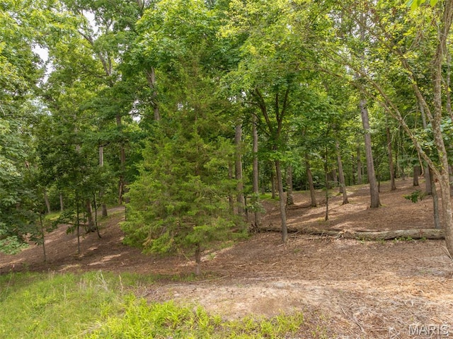 463 Foxfire Crossing Dr, Innsbrook, MO 63390