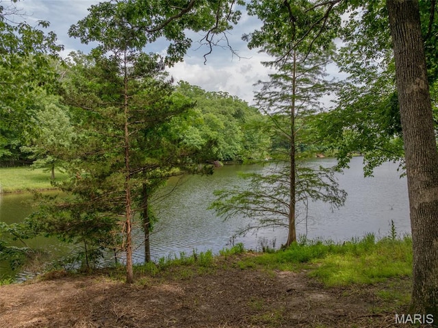 463 Foxfire Crossing Dr, Innsbrook, MO 63390