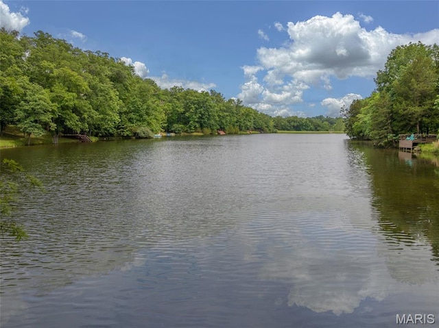 463 Foxfire Crossing Dr, Innsbrook, MO 63390