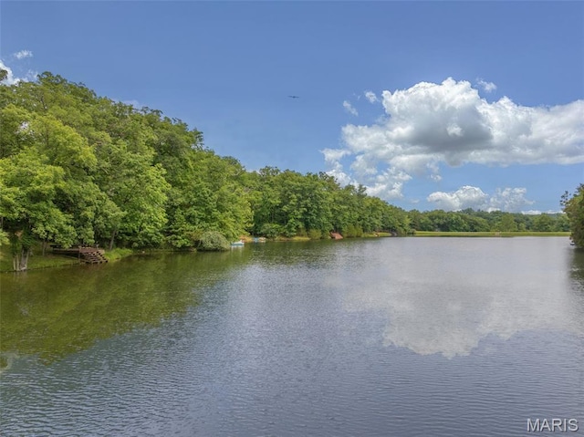463 Foxfire Crossing Dr, Innsbrook, MO 63390
