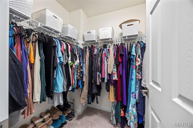 155 Pampano Ln, Saint Charles, MO 63301 - walk in closet with carpet flooring