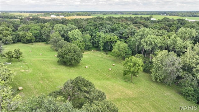 6155 Raymond Rd, Bunker Hill, IL 62014 - aerial overview of property's location