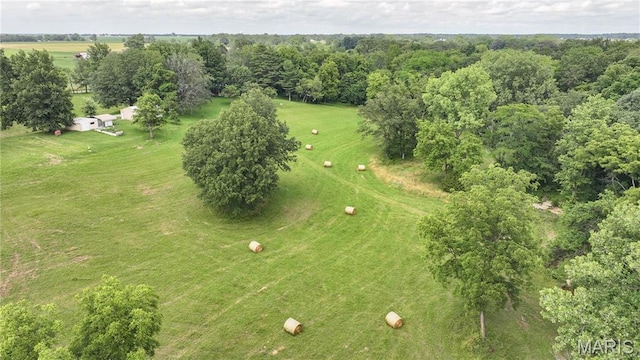 6155 Raymond Rd, Bunker Hill, IL 62014 - overview of rural landscape