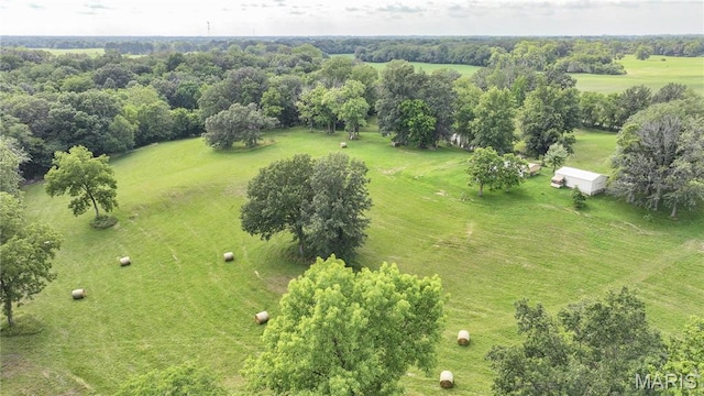 6155 Raymond Rd, Bunker Hill, IL 62014 - view of rural area