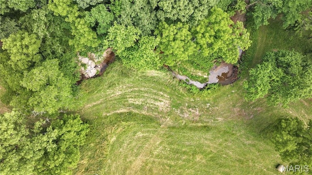 6155 Raymond Rd, Bunker Hill, IL 62014 - aerial view of property and surrounding area