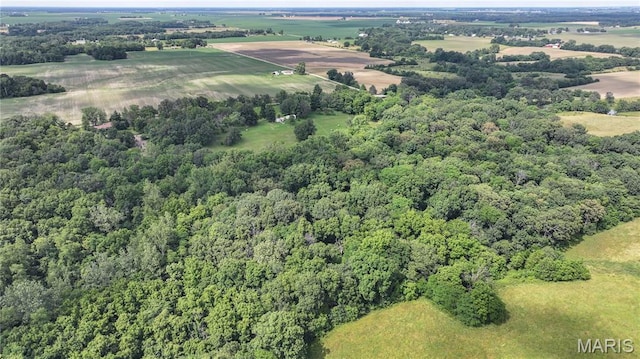 6155 Raymond Rd, Bunker Hill, IL 62014 - overview of rural landscape featuring a forest