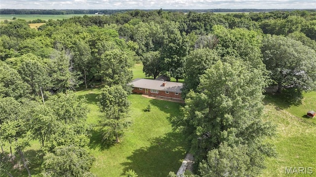6155 Raymond Rd, Bunker Hill, IL 62014 - view of subject property featuring a forest