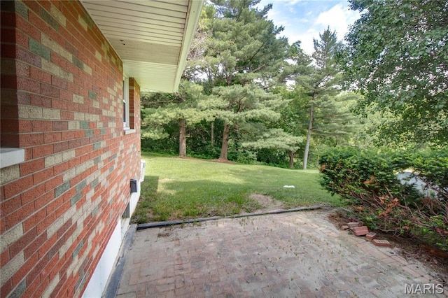 6155 Raymond Rd, Bunker Hill, IL 62014 - view of green lawn with a patio