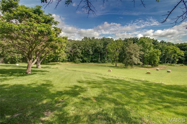 6155 Raymond Rd, Bunker Hill, IL 62014 - view of grassy yard
