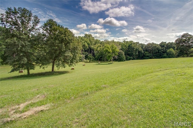 6155 Raymond Rd, Bunker Hill, IL 62014 - view of grassy yard