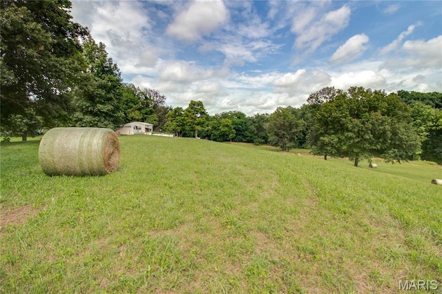 6155 Raymond Rd, Bunker Hill, IL 62014 - view of grassy yard featuring a rural view