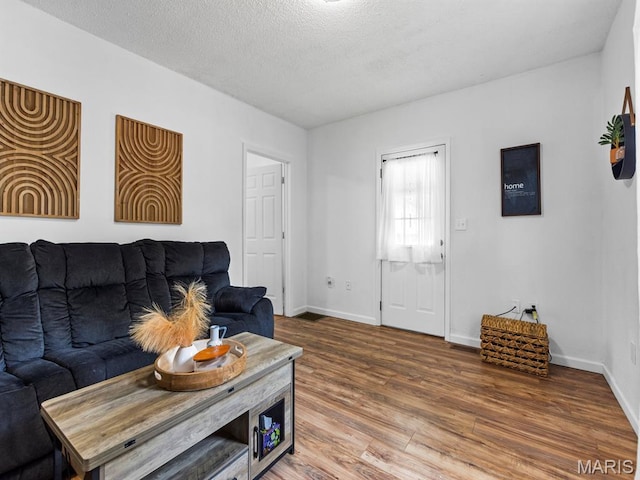 414 Plum St, Edwardsville, IL 62025 - living room featuring wood finished floors and a textured ceiling