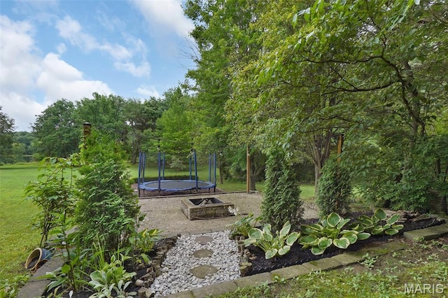 6232 Clover Lake Dr, Cedar Hill, MO 63016 - view of grassy yard with a trampoline