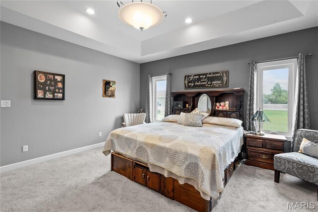 108 Jennings Ln, Sikeston, MO 63801 - bedroom featuring a raised ceiling and light colored carpet