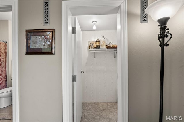 108 Jennings Ln, Sikeston, MO 63801 - hallway featuring carpet flooring