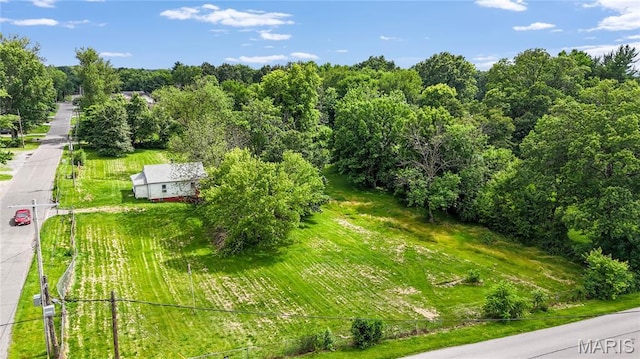1333 Leland St, Collinsville, IL 62234 - photo 1