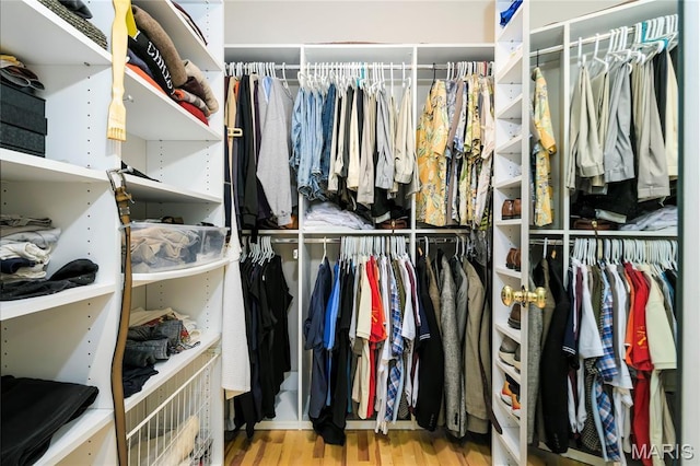 1001 Laurel Bend Ct S, Kirkwood, MO 63122 - walk in closet featuring wood finished floors