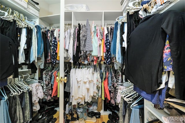 1001 Laurel Bend Ct S, Kirkwood, MO 63122 - view of walk in closet