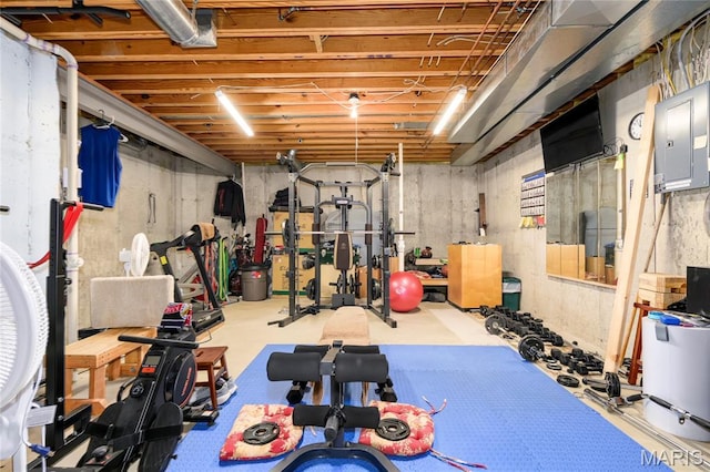 1001 Laurel Bend Ct S, Kirkwood, MO 63122 - exercise room with electric panel