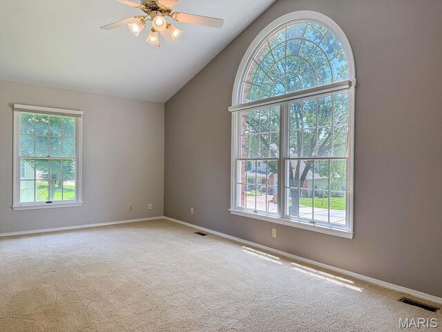 1321 Melvin Dr, Festus, MO 63028