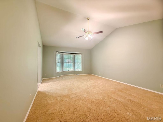 1321 Melvin Dr, Festus, MO 63028 - photo 24