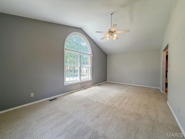 1321 Melvin Dr, Festus, MO 63028 - photo 27