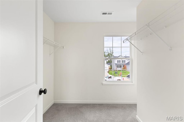 510 Founders Way, Foristell, MO 63348 - walk in closet featuring carpet floors