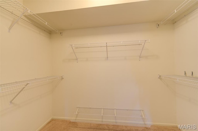 1733 Forest Trace Dr, Ofallon, MO 63368 - spacious closet featuring carpet floors