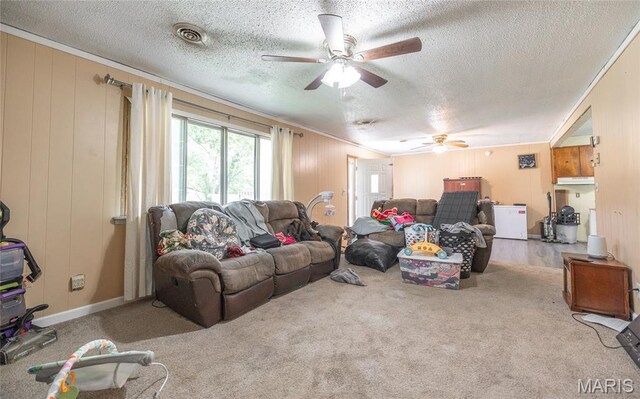 21535 State Route K, Beulah, MO 65436 - living room featuring ceiling fan, a textured ceiling, crown molding, and carpet flooring