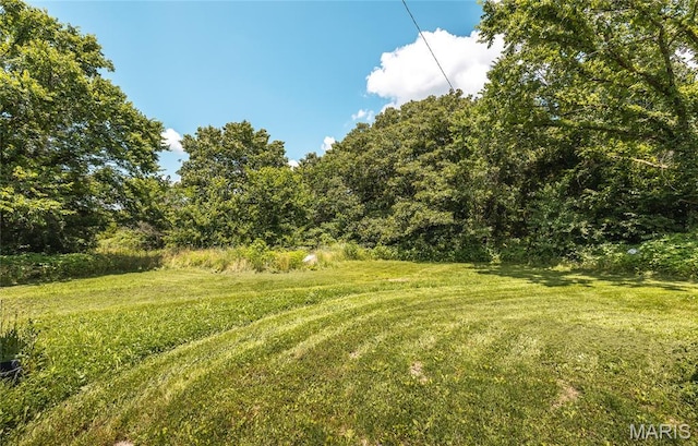 21535 State Route K, Beulah, MO 65436 - view of green lawn