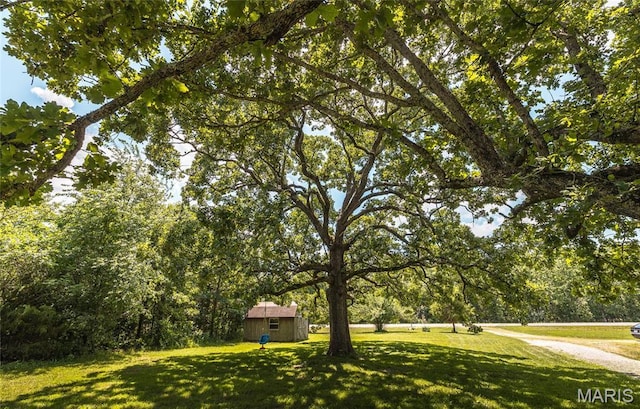 21535 State Route K, Beulah, MO 65436 - view of green lawn with a shed