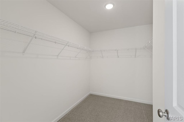 807 Colony Ridge Ct, Foristell, MO 63348 - walk in closet featuring carpet floors