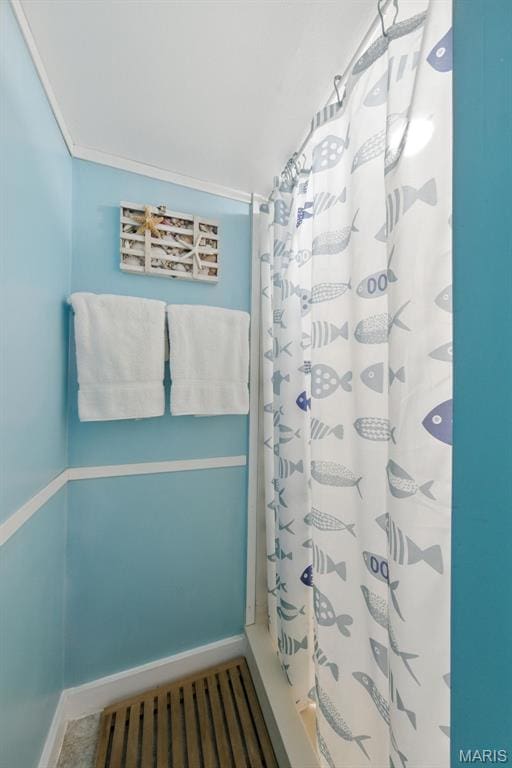 7142 Circleview Dr, Gravois Township, MO 63123 - bathroom with curtained shower and baseboards