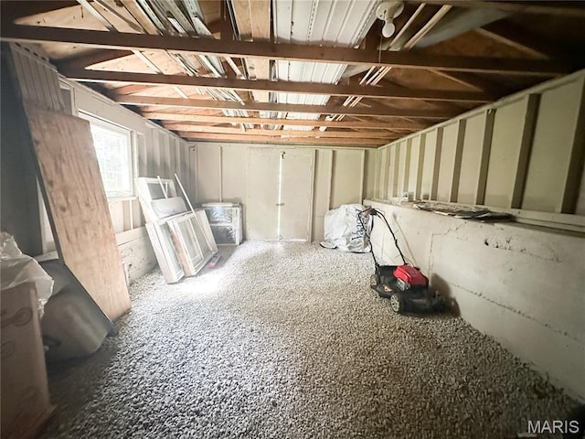 66 County Road 6680, Salem, MO 65560 - view of below grade area