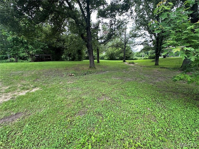 66 County Road 6680, Salem, MO 65560 - view of green lawn