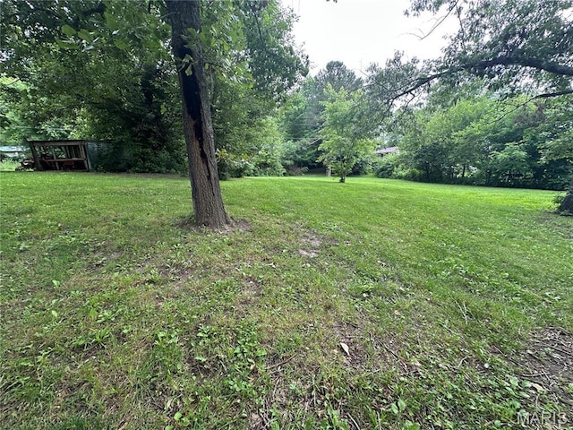 66 County Road 6680, Salem, MO 65560 - view of grassy yard